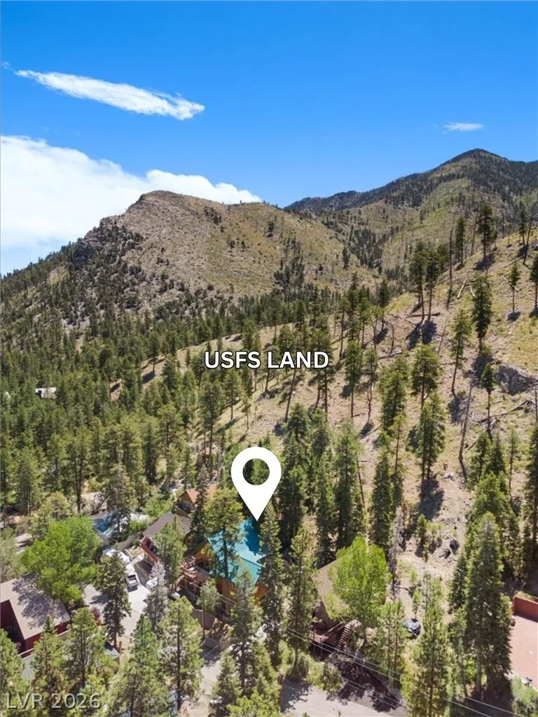 370 Alpine Way Mount Charleston, NV 89124