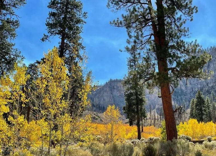 370 Alpine Way Mount Charleston, NV 89124