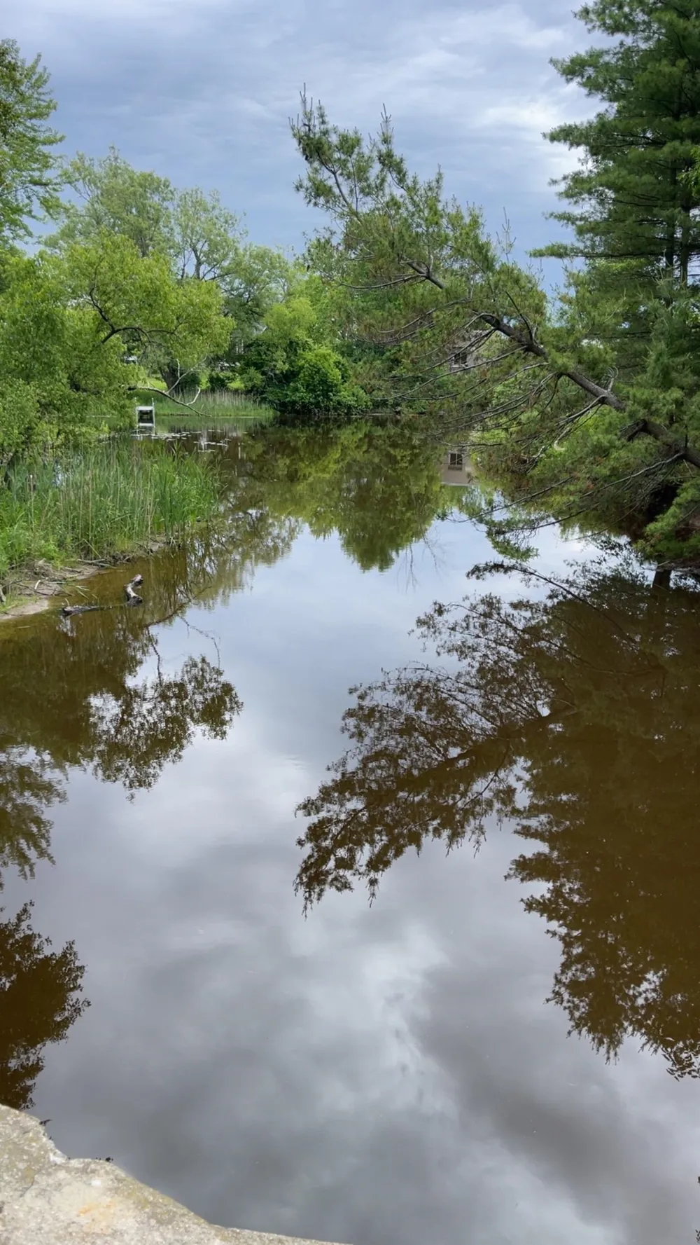 429 Hamilton Road Tawas Township, MI 48763
