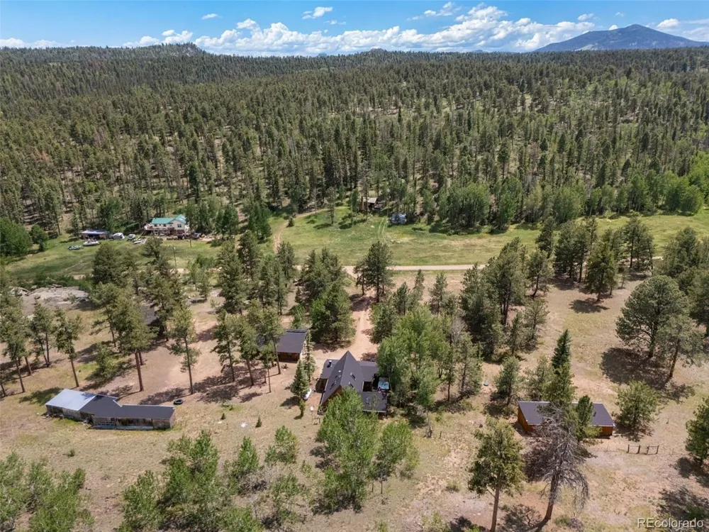 215 S Valley Drive Lake George, CO 80827