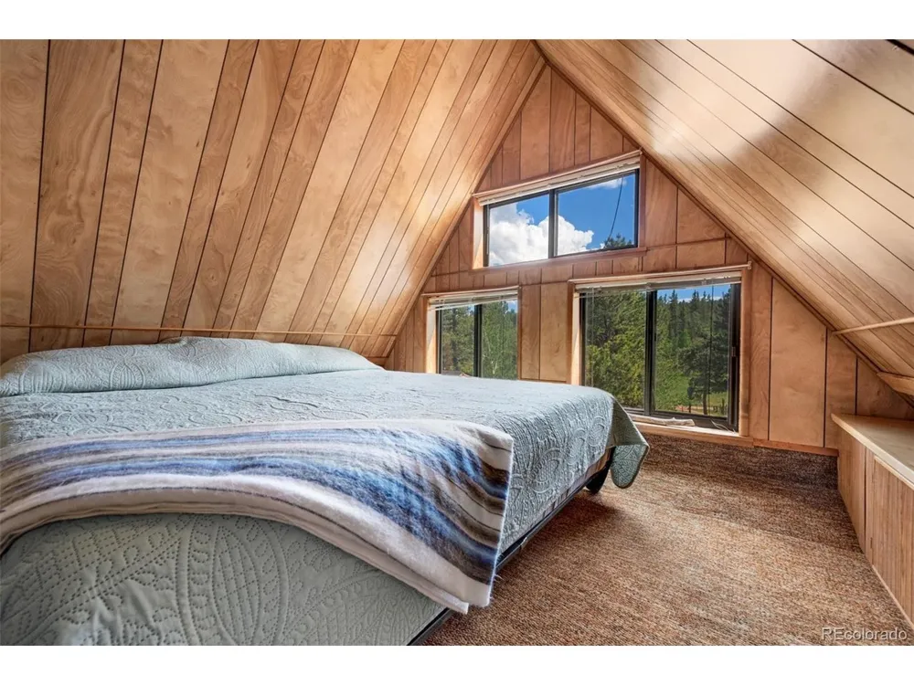 215 S Valley Drive Lake George, CO 80827