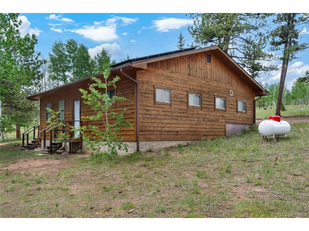 215 S Valley Drive Lake George, CO 80827