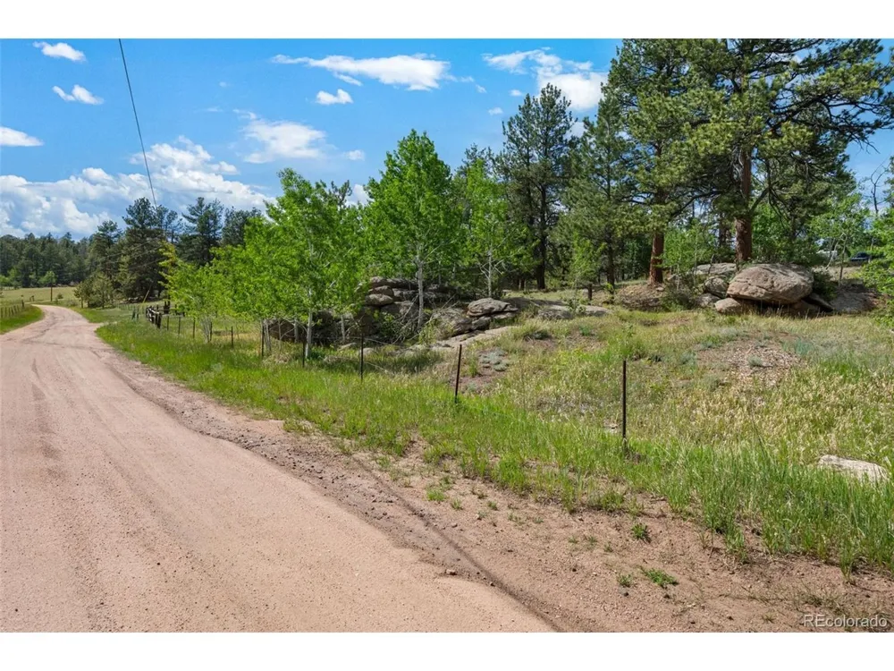 215 S Valley Drive Lake George, CO 80827