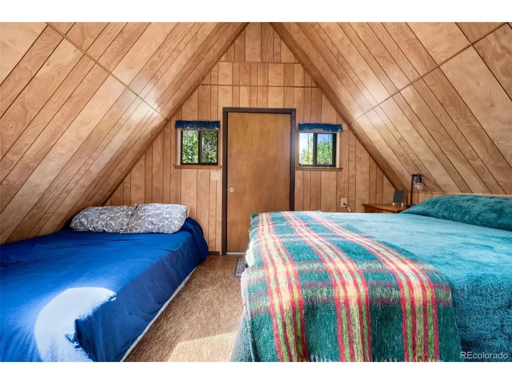 215 S Valley Drive Lake George, CO 80827