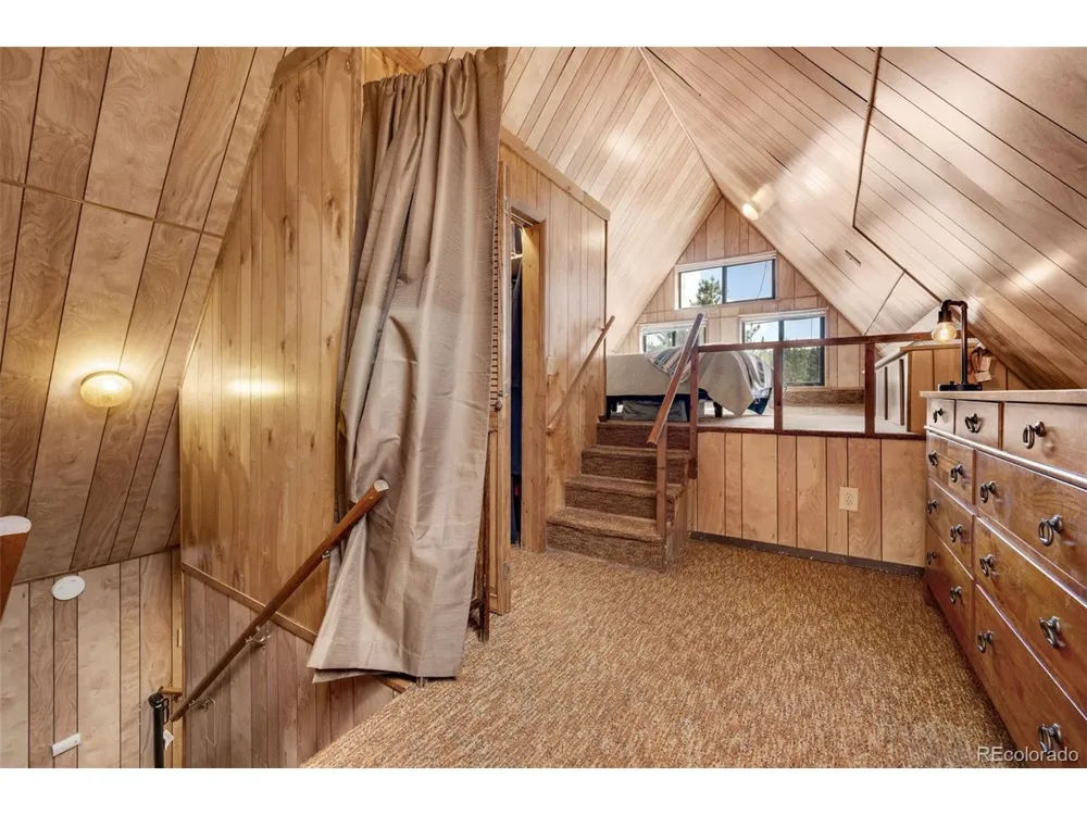 215 S Valley Drive Lake George, CO 80827