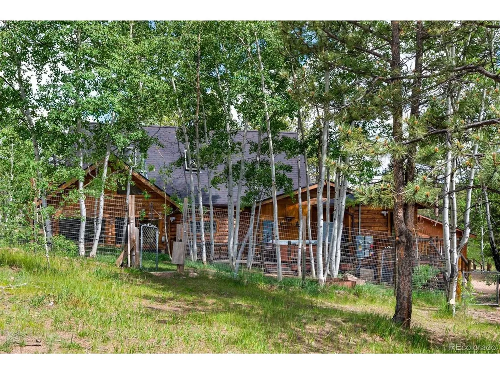 215 S Valley Drive Lake George, CO 80827