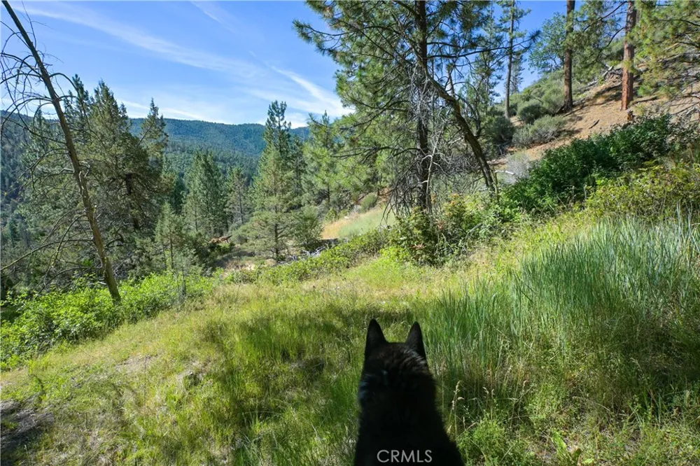1 Duzel Creek Road Fort Jones, CA 96032