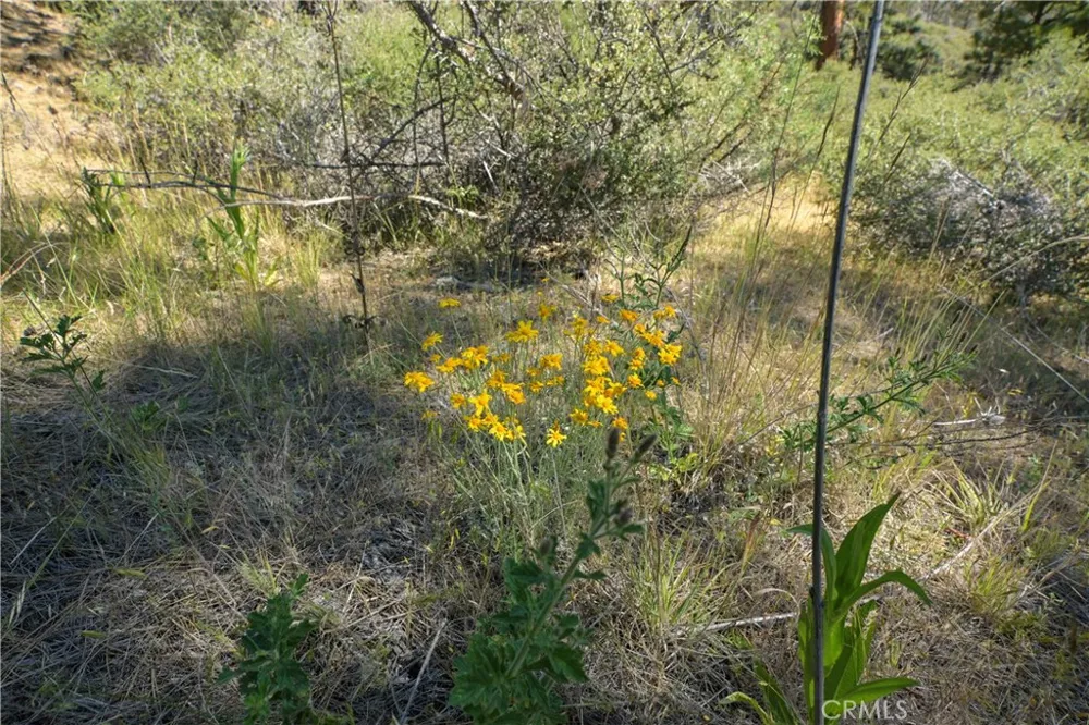 1 Duzel Creek Road Fort Jones, CA 96032