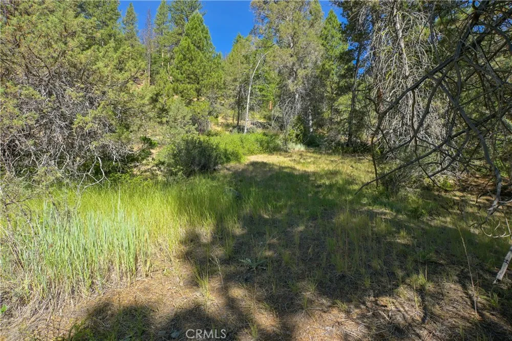 1 Duzel Creek Road Fort Jones, CA 96032