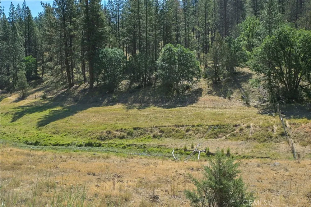 1 Duzel Creek Road Fort Jones, CA 96032