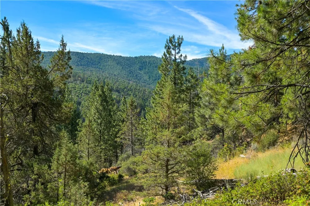 1 Duzel Creek Road Fort Jones, CA 96032