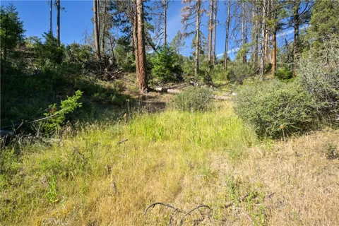 1 Duzel Creek Road