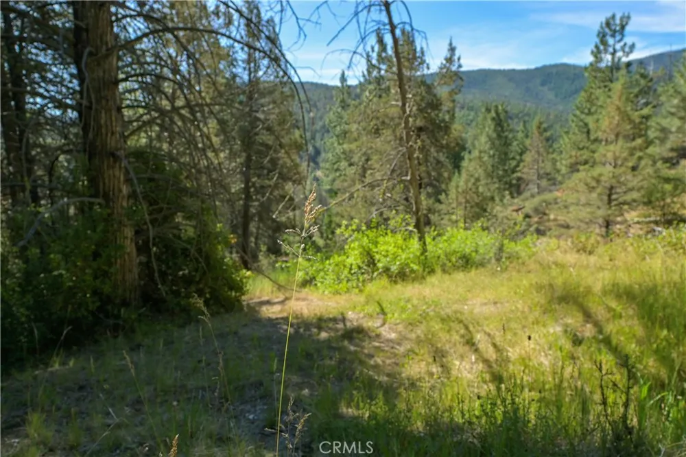 1 Duzel Creek Road Fort Jones, CA 96032