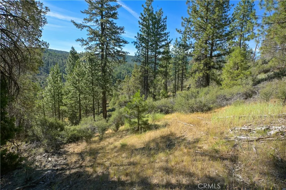 1 Duzel Creek Road Fort Jones, CA 96032