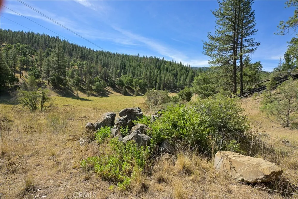 1 Duzel Creek Road Fort Jones, CA 96032