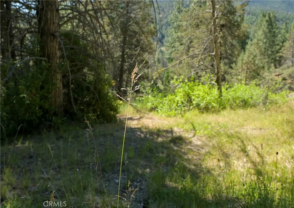 1 Duzel Creek Road Fort Jones, CA 96032