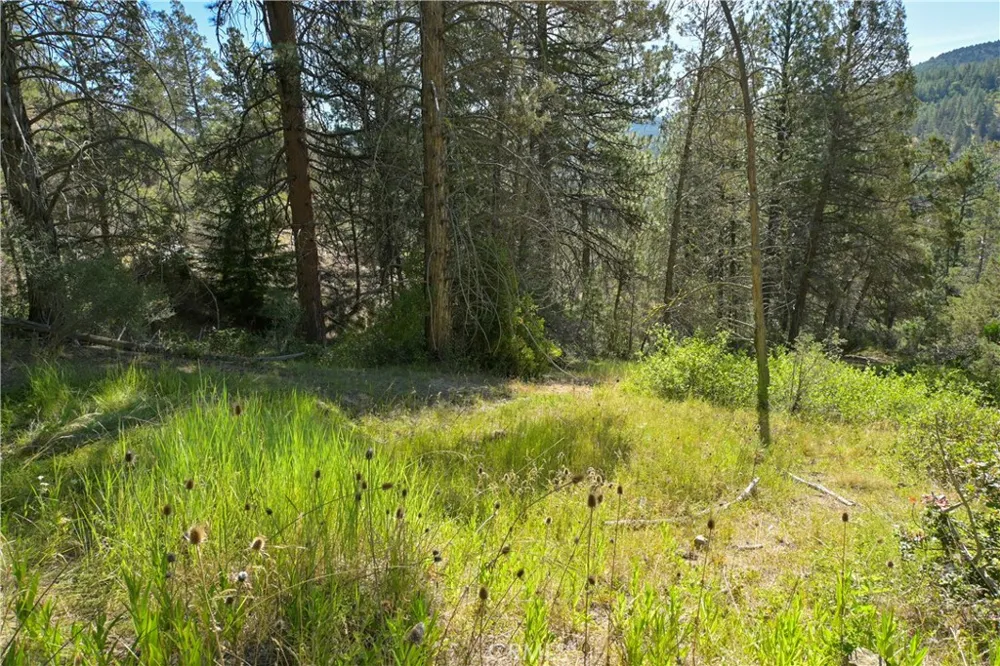 1 Duzel Creek Road Fort Jones, CA 96032