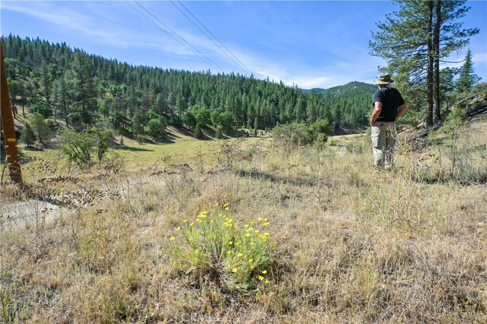 1 Duzel Creek Road Fort Jones, CA 96032