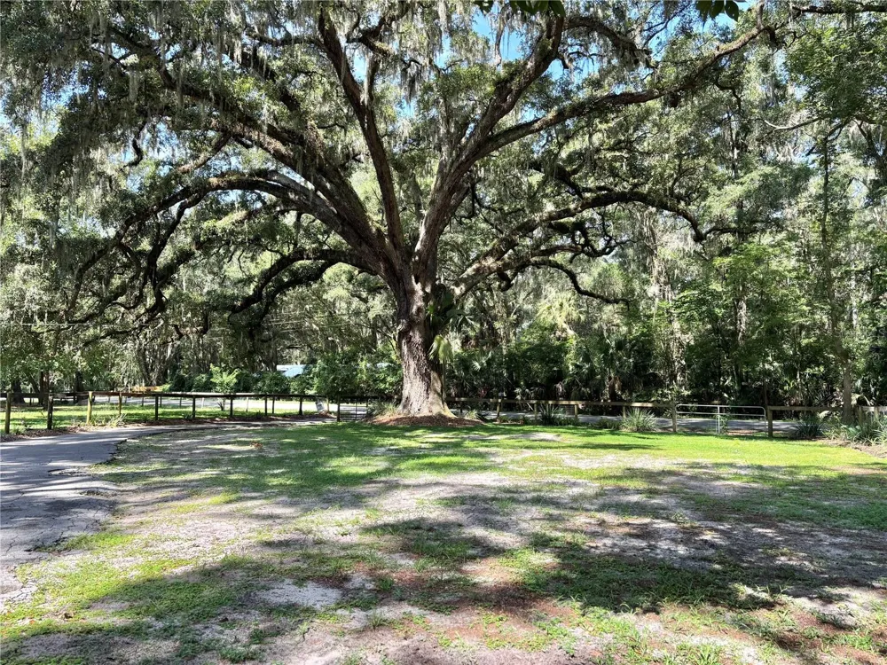 13565 NE 38TH AVENUE Anthony, FL 32617