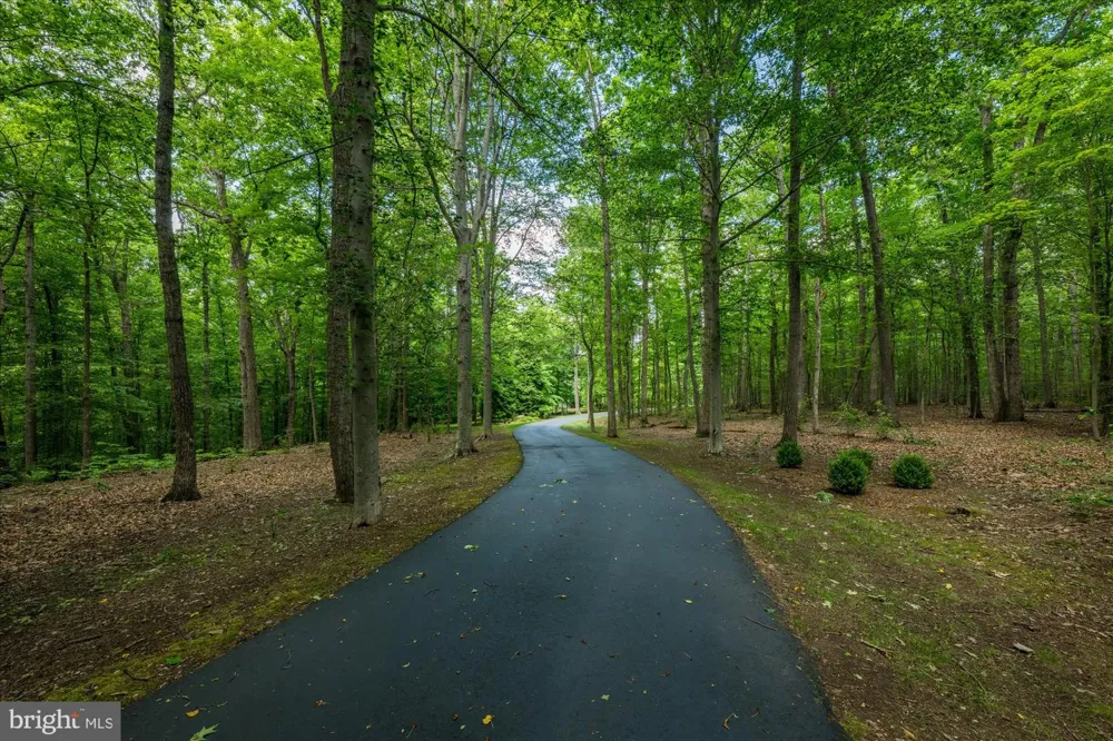 21750 LAUREL WOOD Leesburg, VA 20175