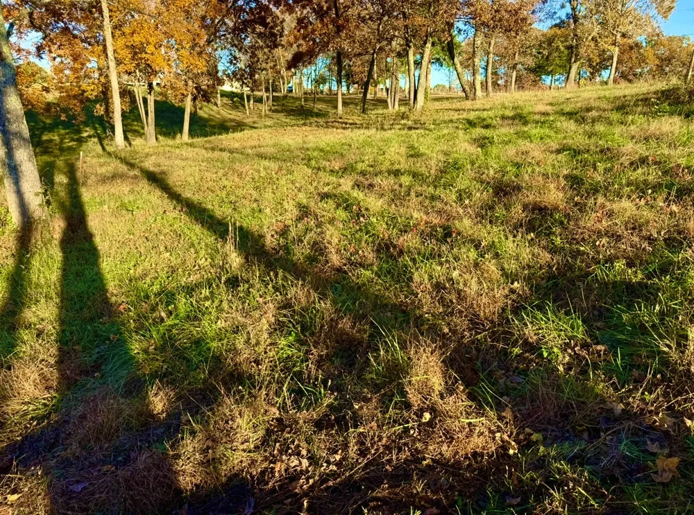 0 Short Mountain Smithville, TN 37166