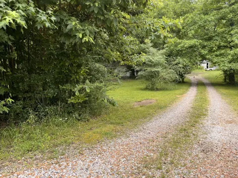 53 Lenzi Road
