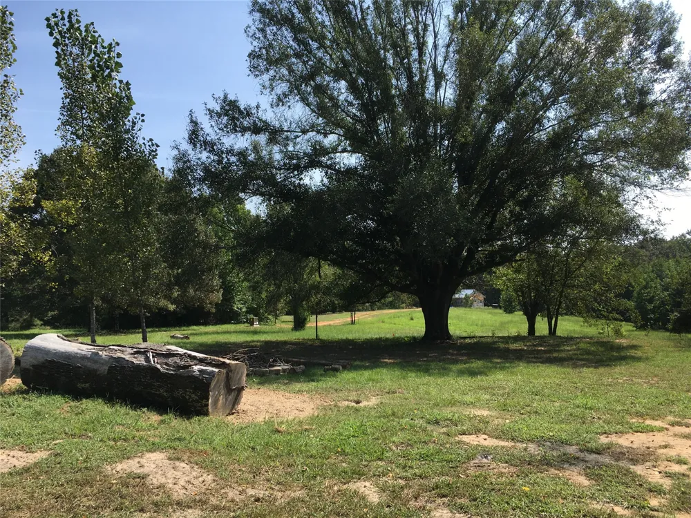 1140 CR 1712 Grand Saline, TX 75140