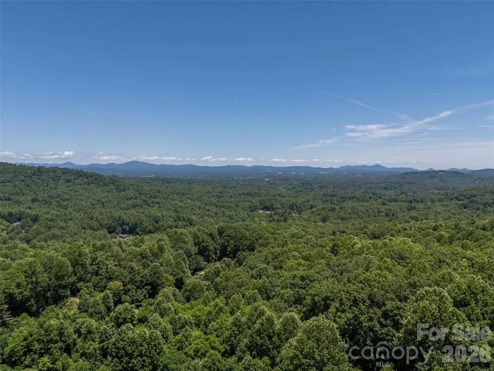 2 Meadow Ridge Lane Hendersonville, NC 28739
