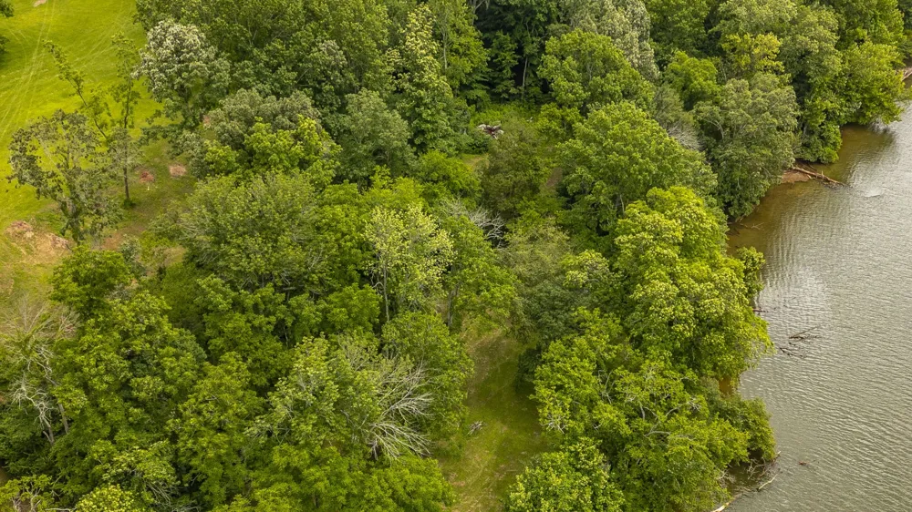 1113 E Robertson Rd Castalian Springs, TN 37031