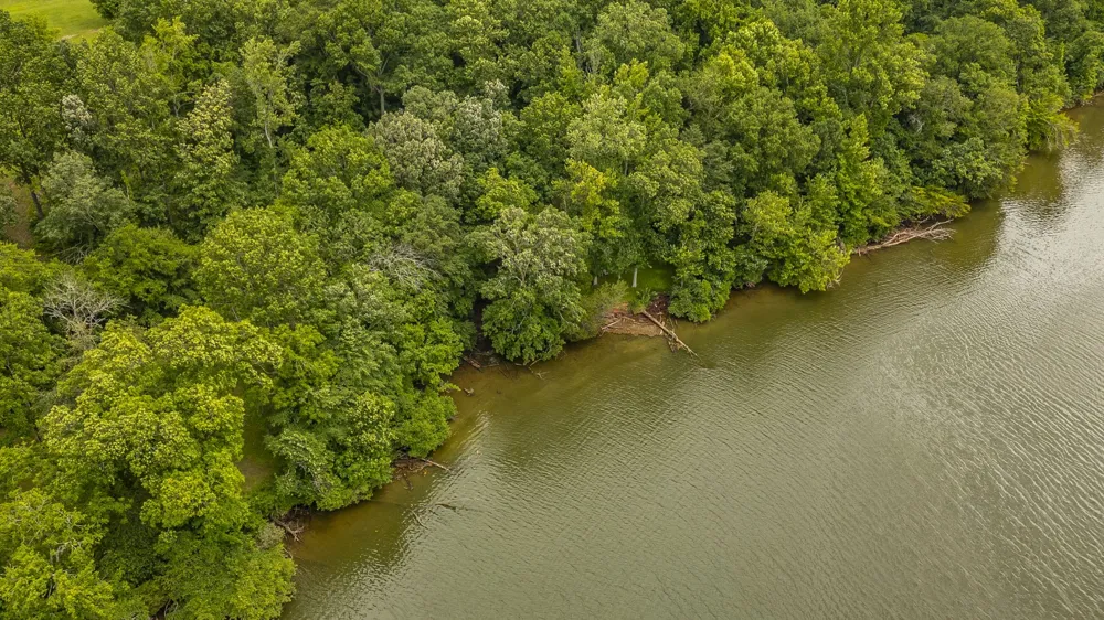 1113 E Robertson Rd Castalian Springs, TN 37031