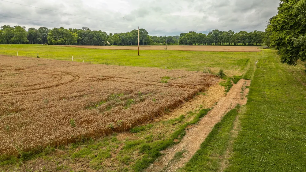 1113 E Robertson Rd Castalian Springs, TN 37031