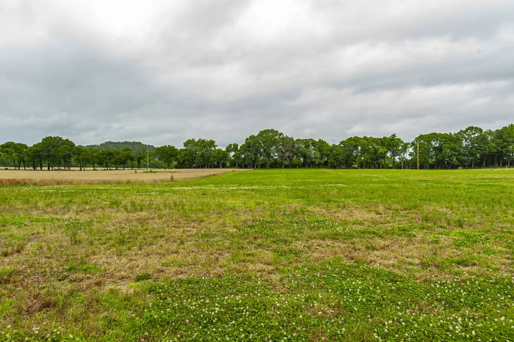 1113 E Robertson Rd Castalian Springs, TN 37031