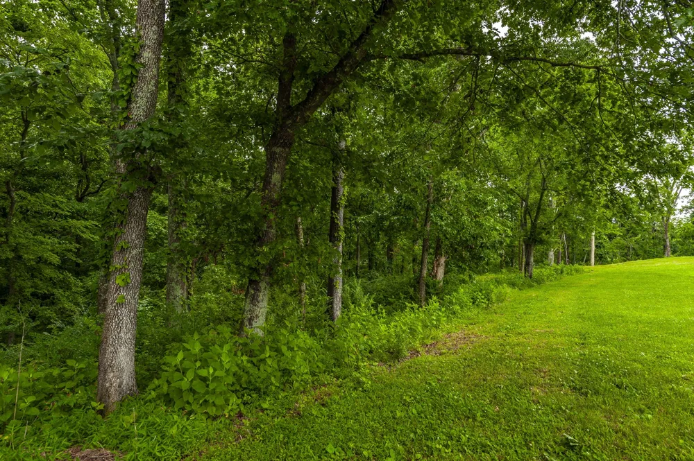 1113 E Robertson Rd Castalian Springs, TN 37031