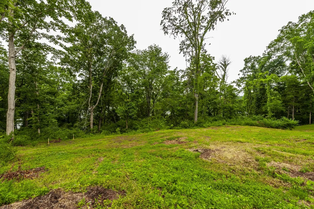 1113 E Robertson Rd Castalian Springs, TN 37031