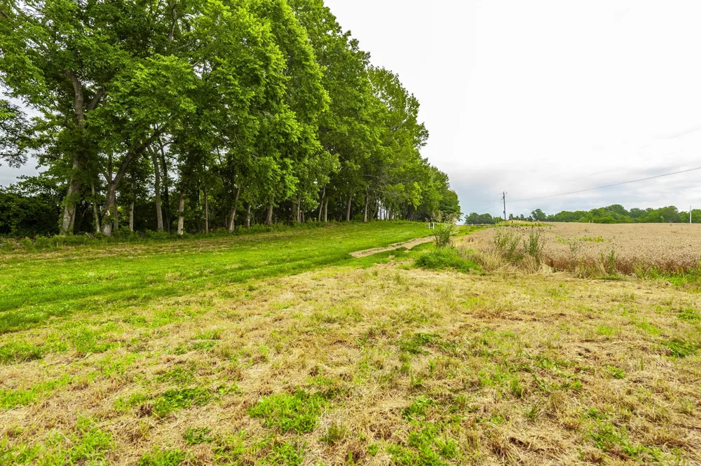 1113 E Robertson Rd Castalian Springs, TN 37031