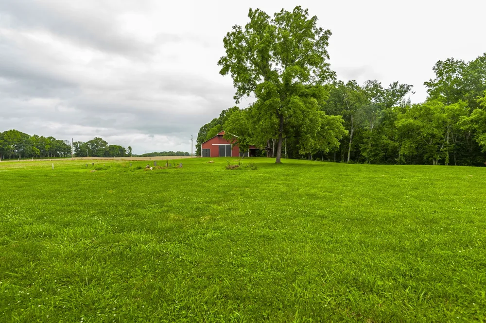 1113 E Robertson Rd Castalian Springs, TN 37031