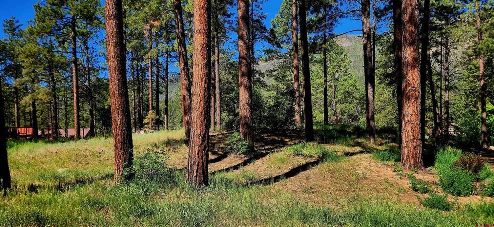 361 Hogan Circle Durango, CO 81301