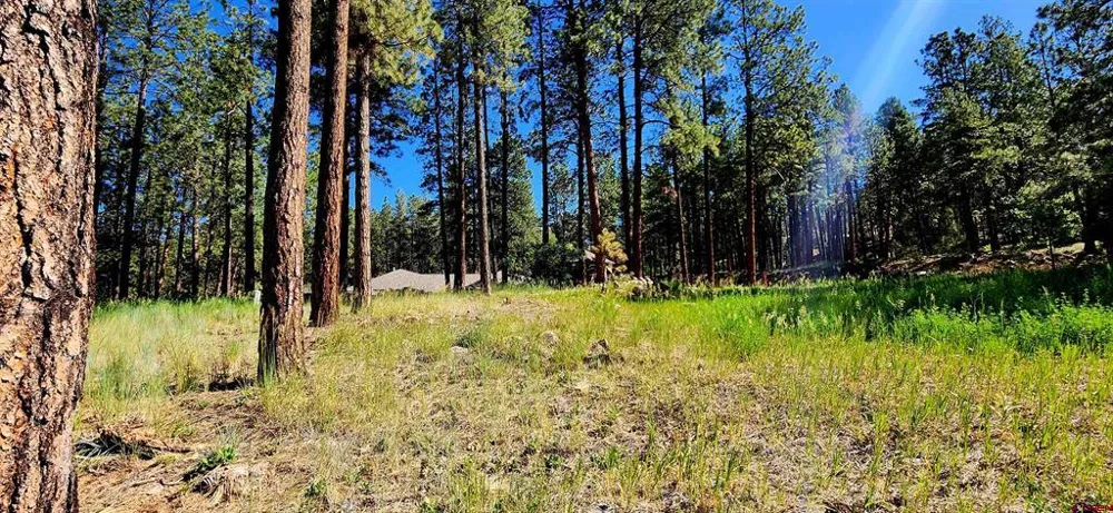 361 Hogan Circle Durango, CO 81301