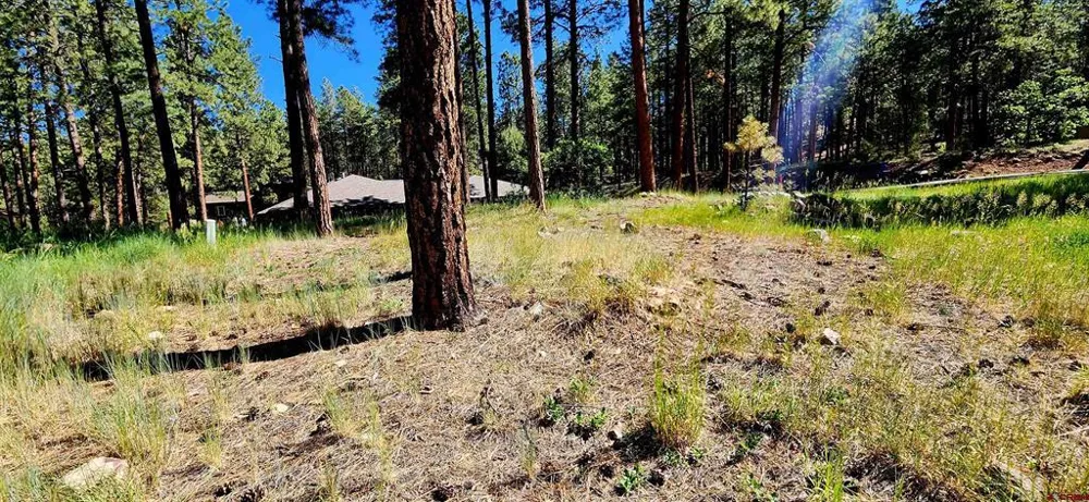 361 Hogan Circle Durango, CO 81301