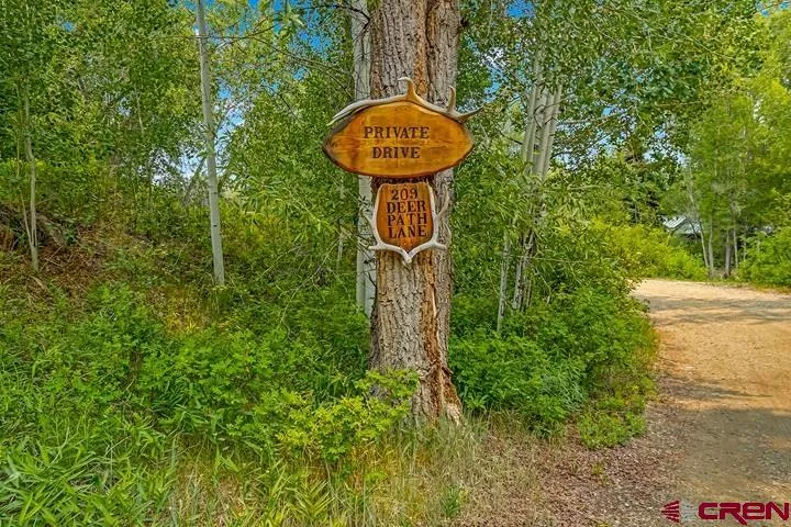 209 Deer Path Lane Almont, CO 81230