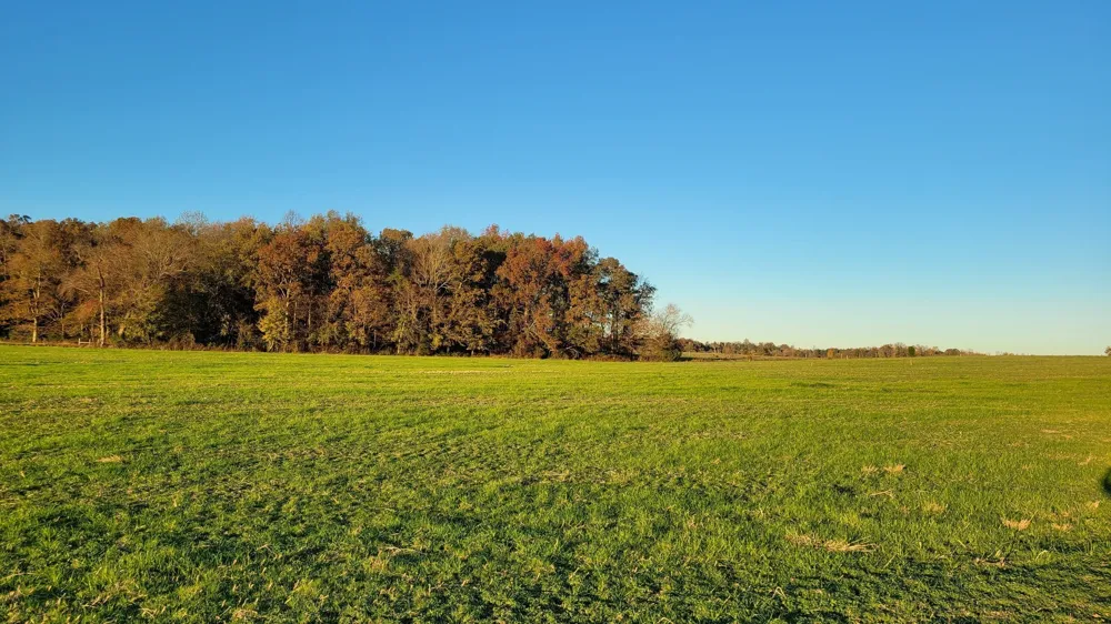 12 Ira Darby Prater Hwy Woodbury, TN 37190