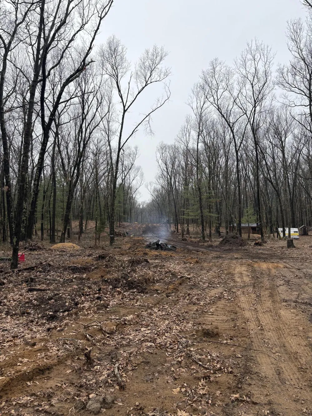 5419 Thorpe Street Fennville, MI 49408