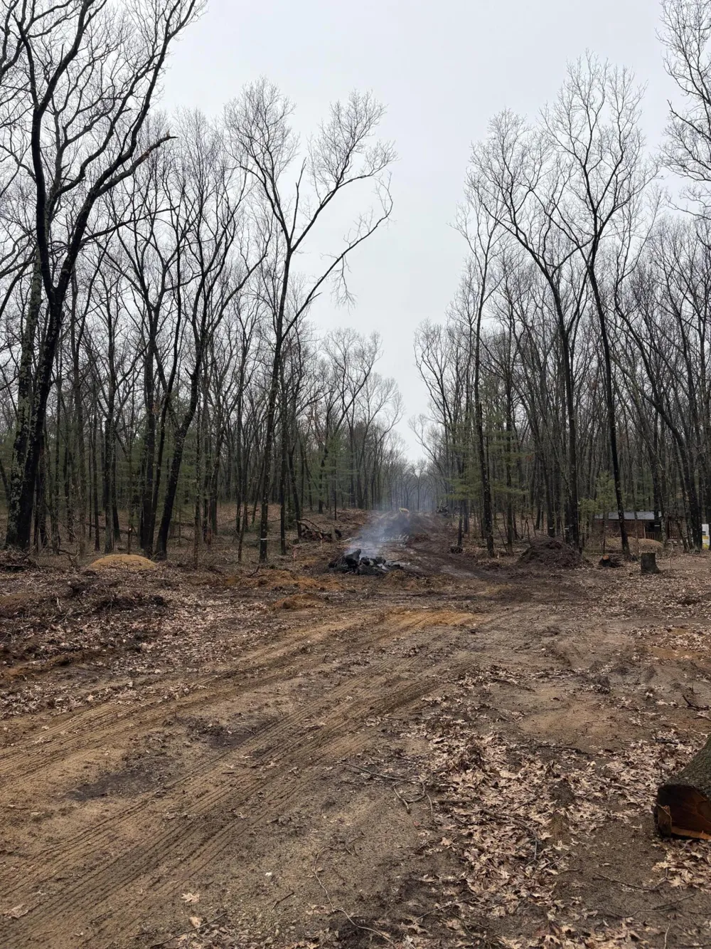 5419 Thorpe Street Fennville, MI 49408