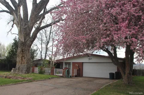 33 Skyline Drive