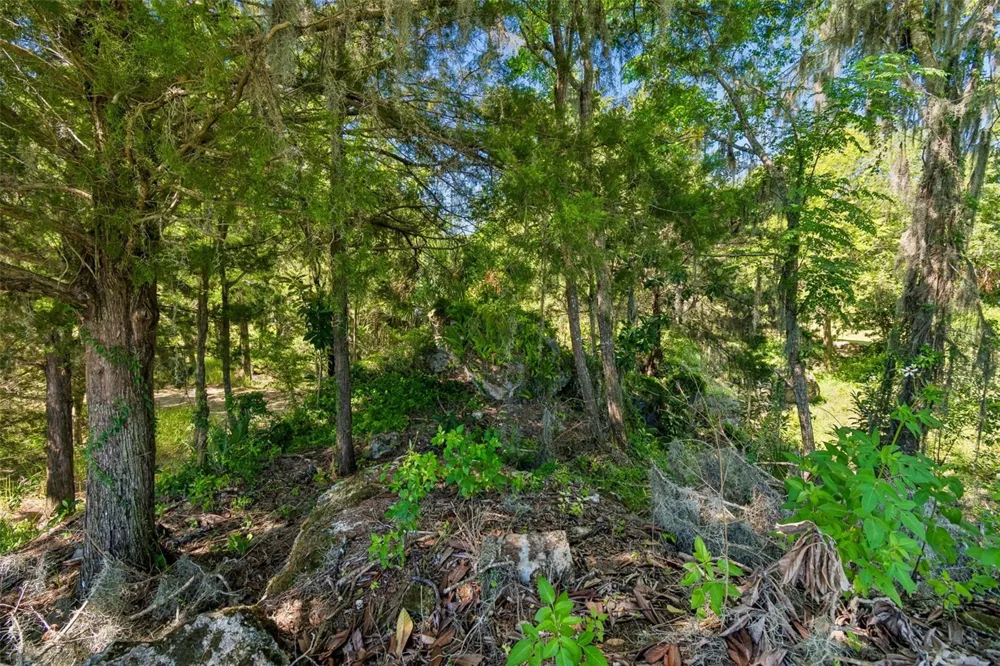 8792 S STEED TERRACE Floral City, FL 34436