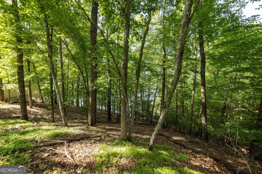7822 Beachwood DR Murrayville, GA 30564