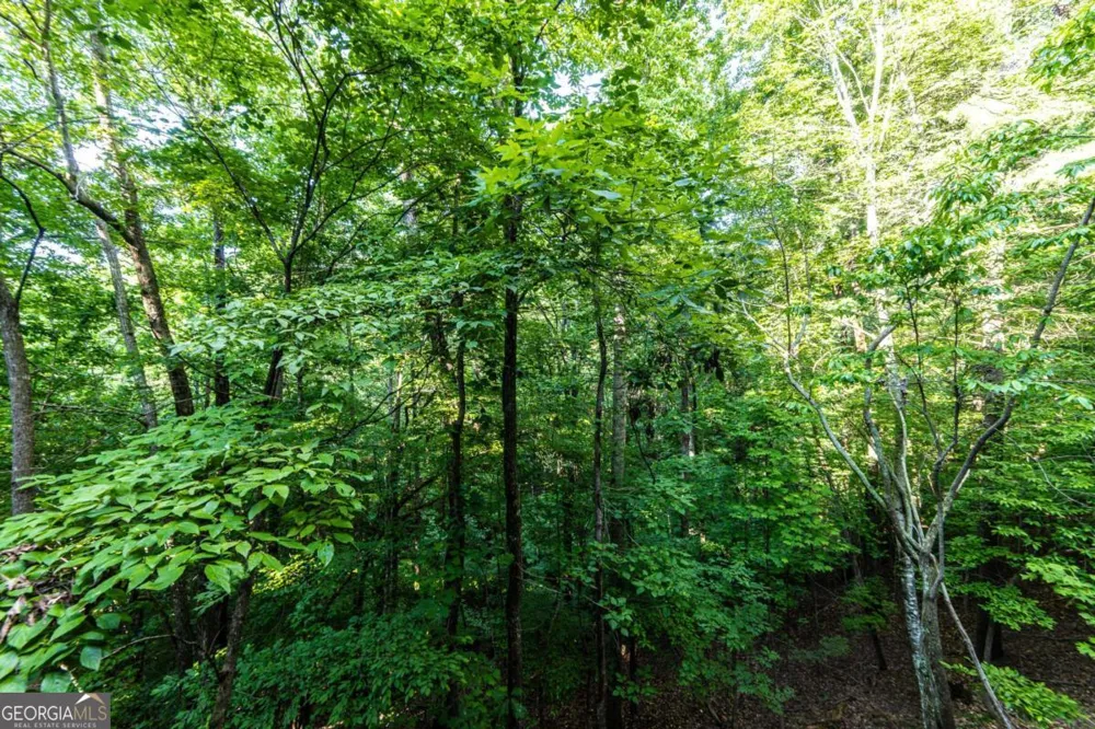7822 Beachwood DR Murrayville, GA 30564