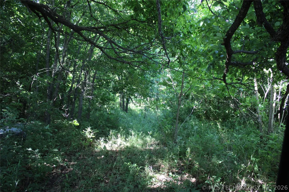 Highway 28 Langley, OK 74350