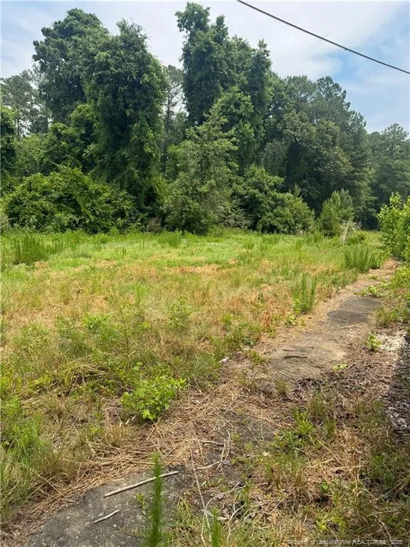 1730 Easterling Drive Spring Lake, NC 28390