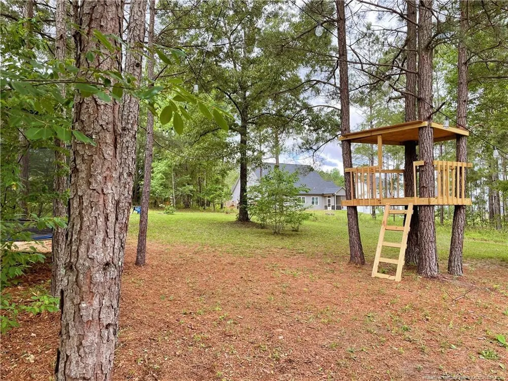 239 Apache Trail Sanford, NC 27332
